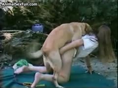 Gorda by web camera fucks with your dog 